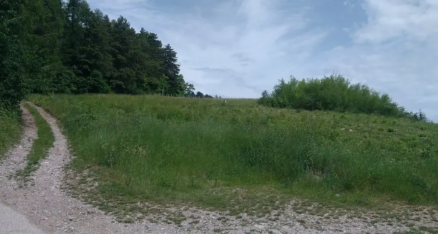Bonifiche, danni e soldi pubblici