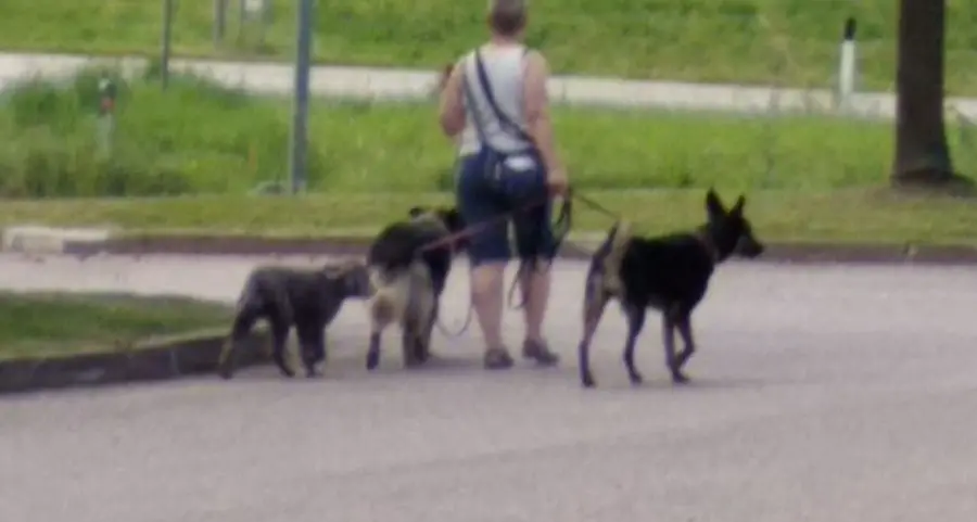 Allarme deiezioni lungo le passeggiate