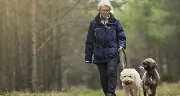 Andalo Vacanze, il Consorzio punta su cani e famiglie