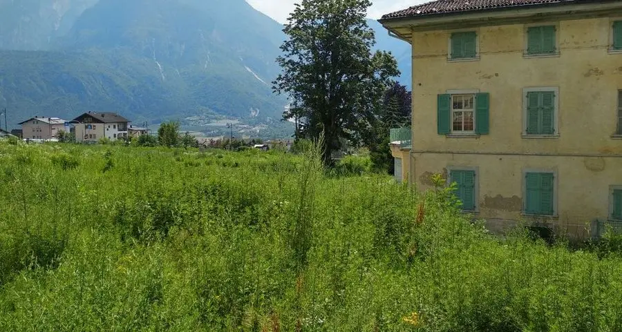 Il giardino di Villa Bessler trasformato in una giungla
