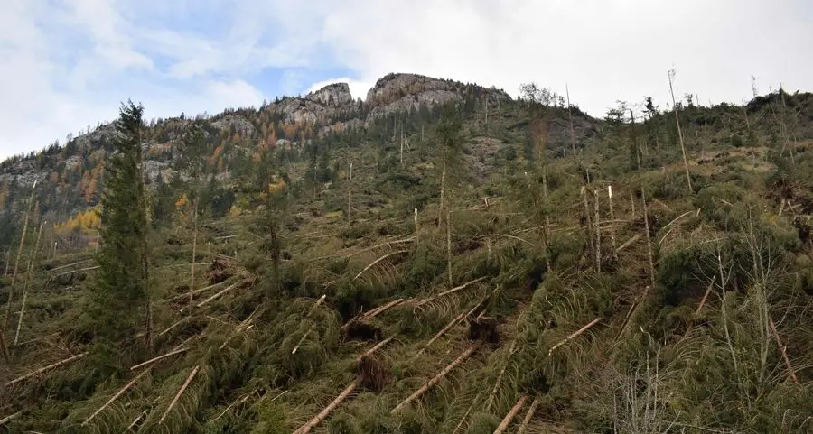«Una corretta alternanza fra prati verdi e bosco»