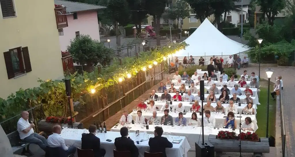 Cembra, 11 medaglie d'oro al Concorso internazionale Müller Thurgau