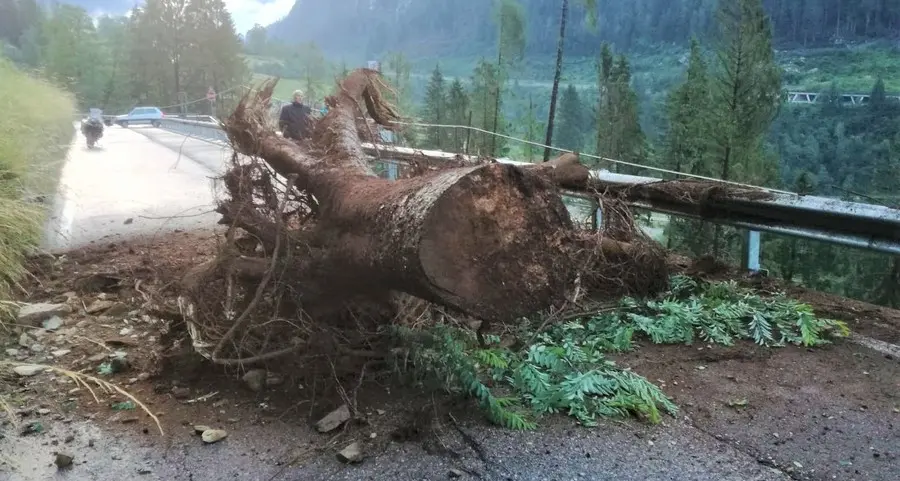 Ancora degli smottamenti lungo la strada del Brocon