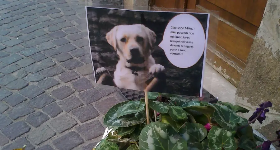 Cacche dei cani, Volano userà sacchetti di colori diversi