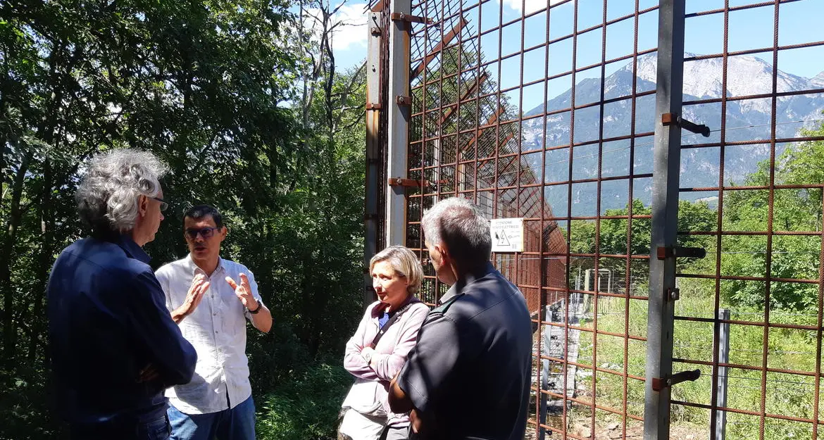Orso M49, sopralluogo di funzionari Ispra al Casteller