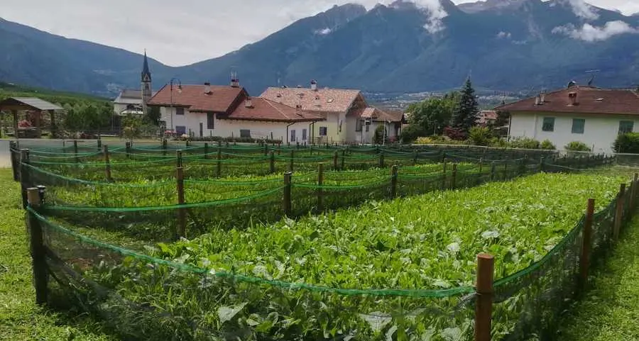 Un prato in mezzo alle case per settemila chiocciole