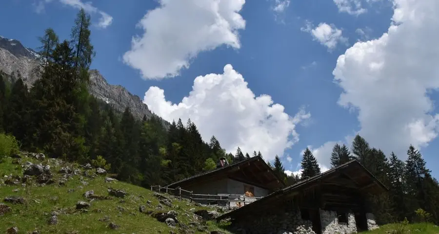 Parco, sfalcio dei prati nell’area protetta: al via le domande