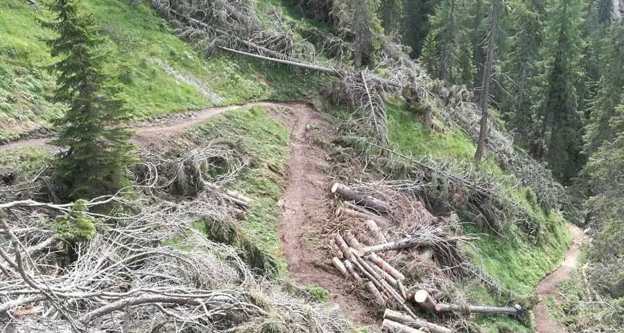 «All’interno del Parco rimane critica l’area di Paneveggio»