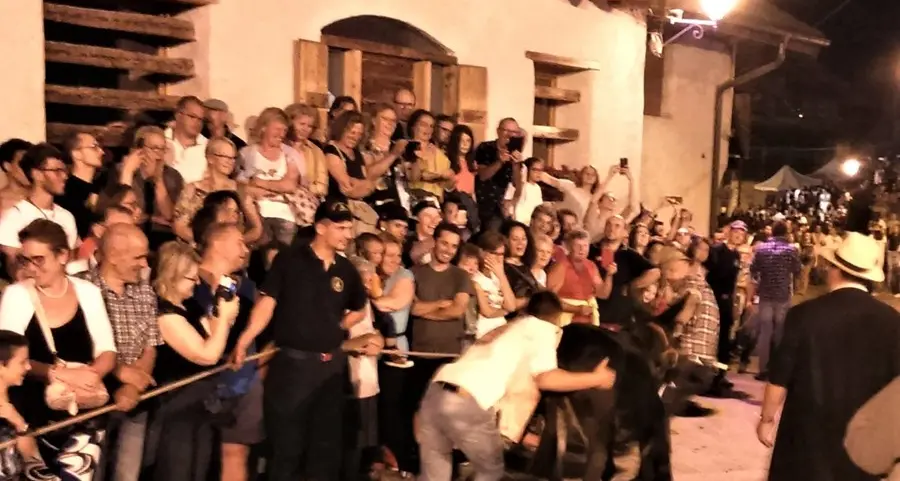 Al “Palio dei musati” vince l’asino chiamato Ferdinando