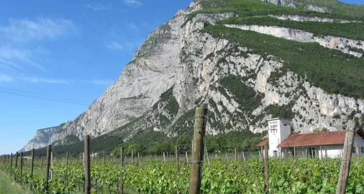 Referendum per trasformare il Trentino in bio-distretto