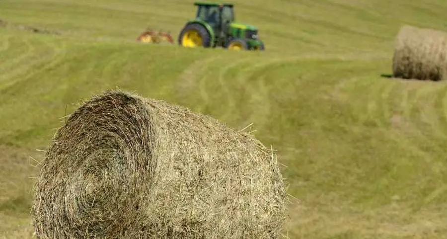 Cavareno “Spiga Verde” per la gestione del territorio