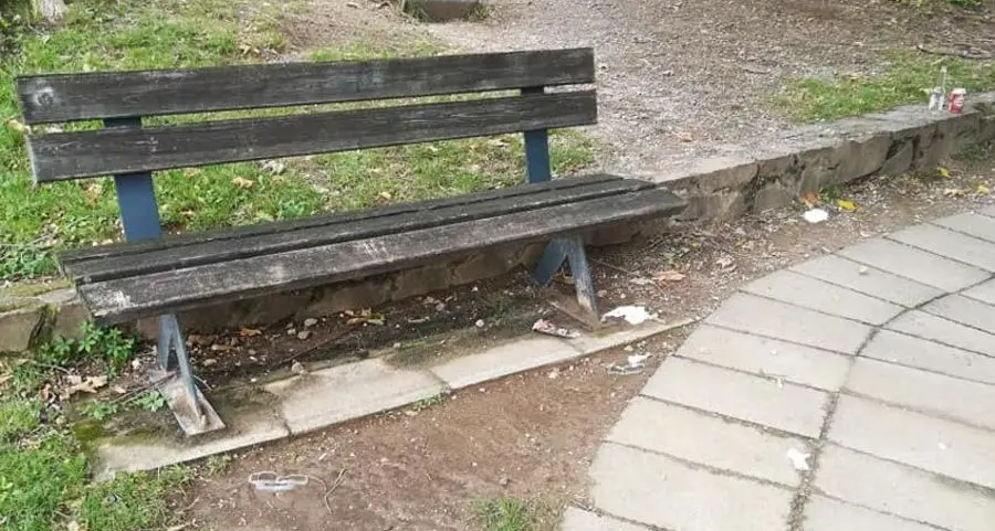 Lavis, rifiuti sparsi nel parco: sdegno sul social network