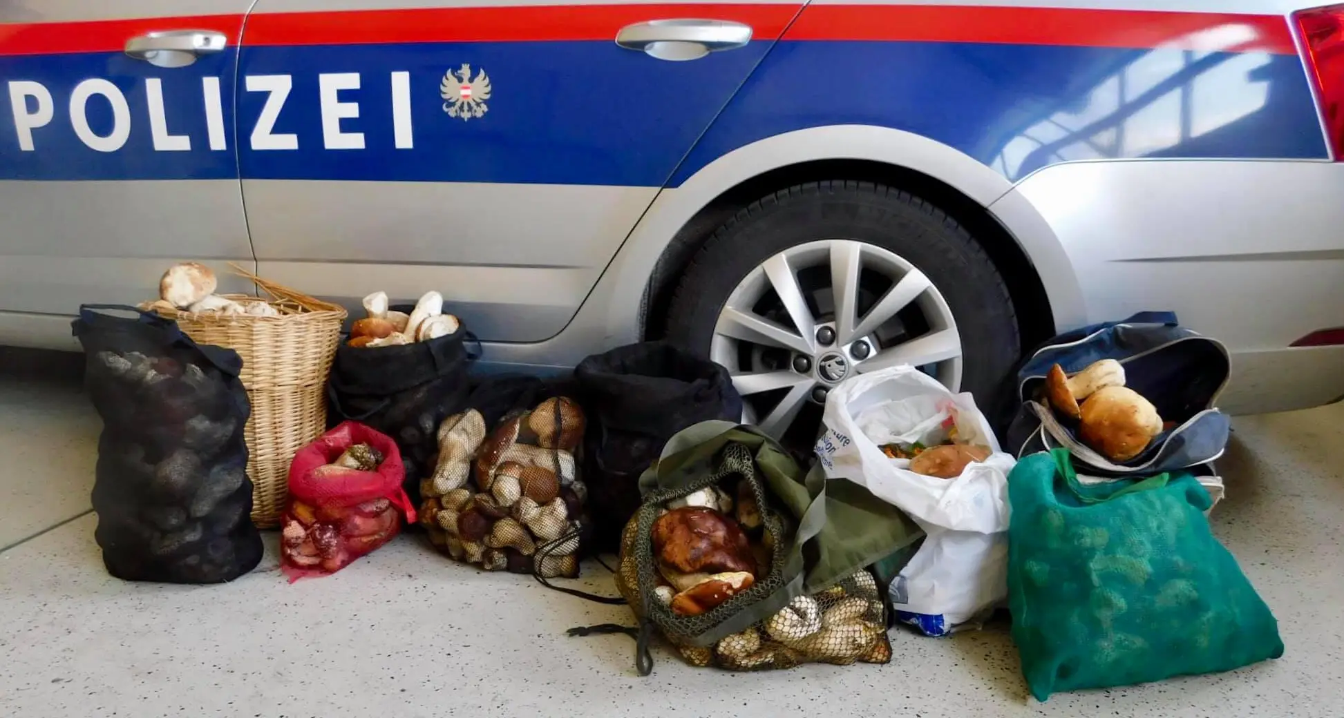 Tre italiani sorpresi con 62 chili di porcini in Tirolo: multa di mille euro