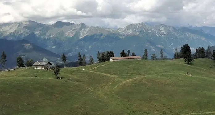 Due orse a spasso nel Bleggio