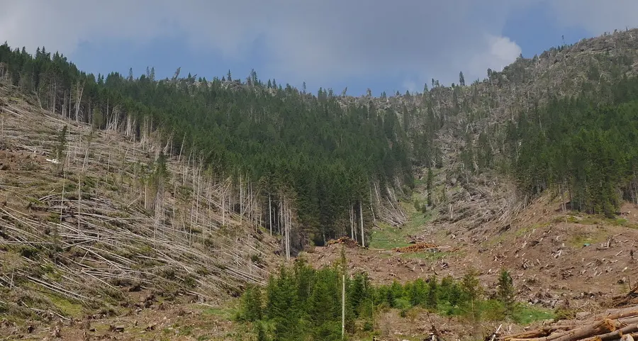 A Bellamonte si parla di natura e biodiversità