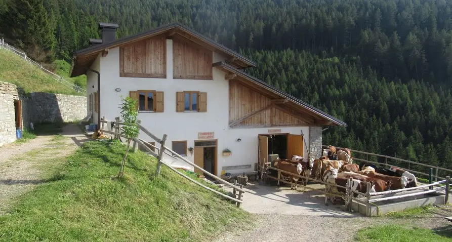 Asuc Pergine, secondo appello