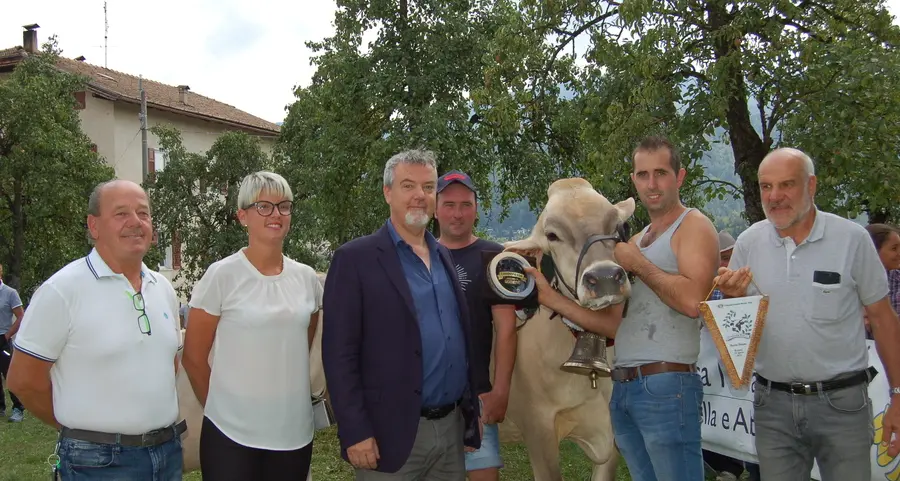 Premio di “miss” per vacche e vitelle alla rassegna bovina di Romeno