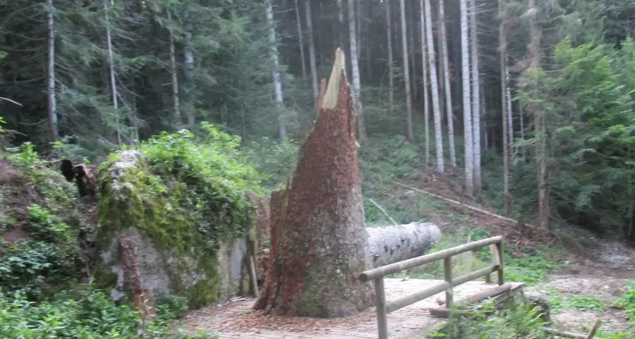L’Avez del Prinzep non merita questo degrado