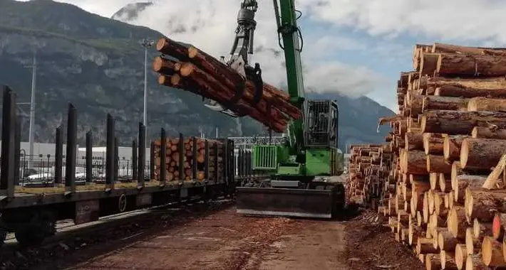 Verso l’Austria 300 convogli carichi degli alberi di Vaia