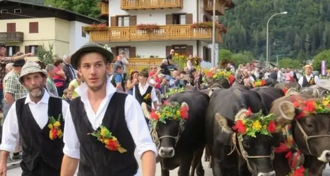 Pinzolo a festa per la sfilata delle giovenche