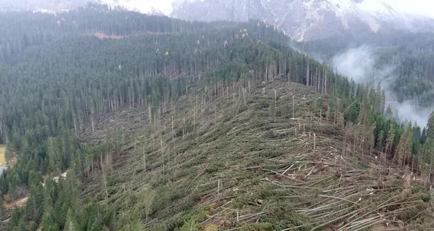 Vaia, in Trentino stimati danni per 47 milioni di euro