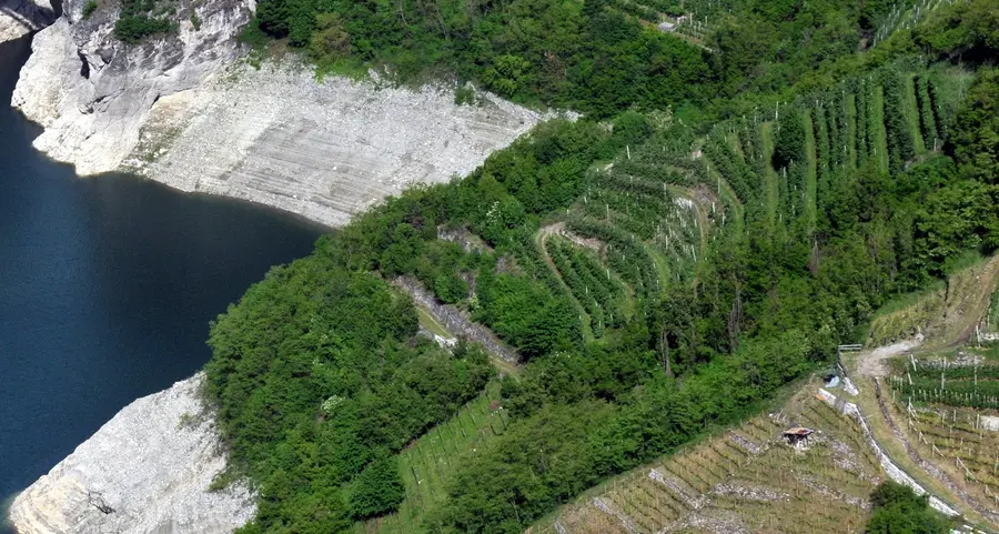 Premio internazionale al Traminer della Val di Non