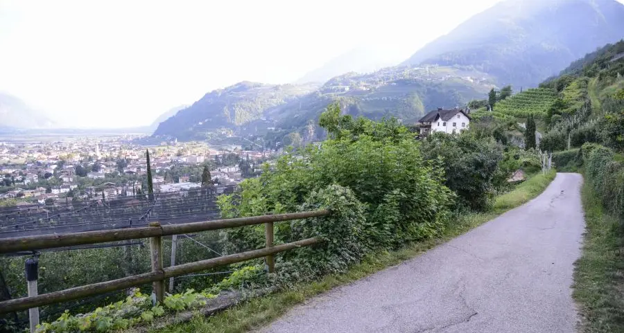 Neonato morto, omicidio aggravato e occultamento di cadavere: fermata la madre