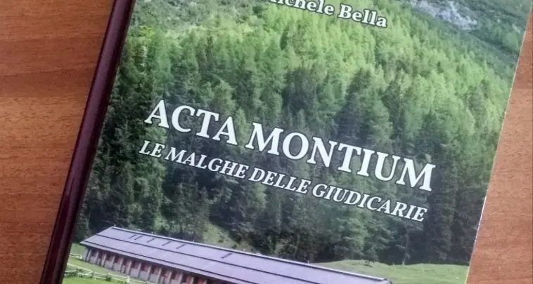 «Il segnale telefonico è assente in galleria»