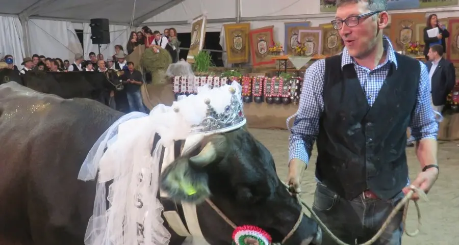 Razza Rendena la giovenca regina è di Caderzone