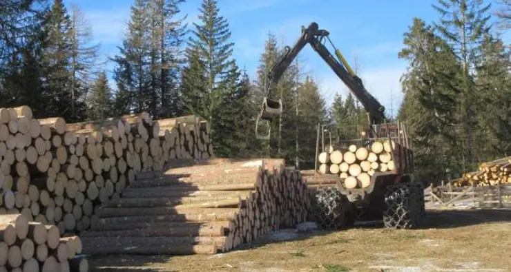 Vaia: Hälfte der Sturmschäden bereits aufgearbeitet