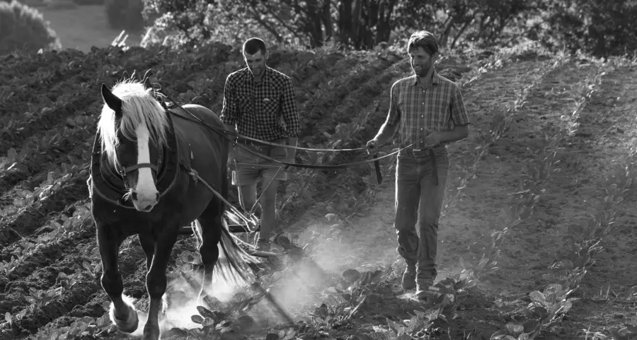 Simonini perpetua in 80 scatti l’agricoltura trentina