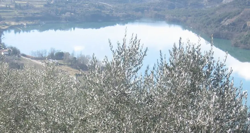 Impianto a goccia Trebi/Pozze si parte da 54 ettari