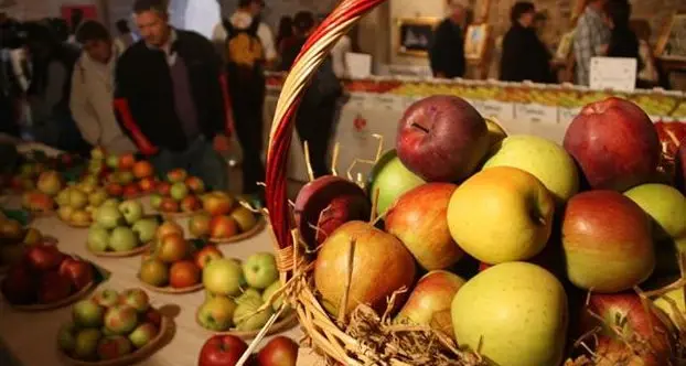 Tutto pronto a Livo e Rumo per la quindicesima Pomaria