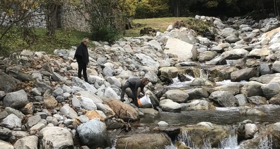 Bresimo, una semina di pesci farà rivivere il torrente Barnes