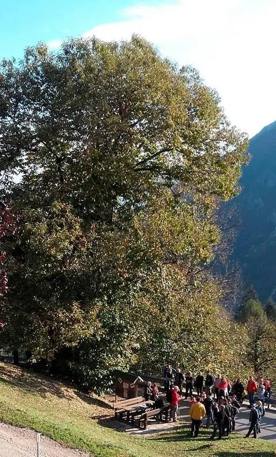 Weekend a Centa S. Nicolò con la castagna unica star