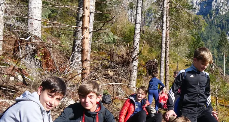 I bambini delle scuole piantano nuovi alberi