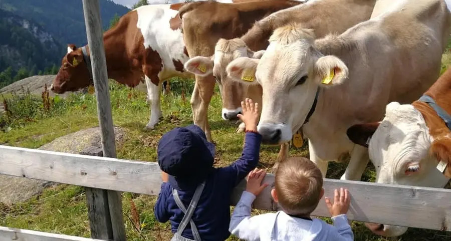I formaggi di 24 malghe protagonisti a Tassullo