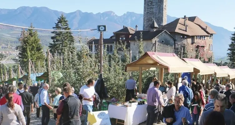 Sfida tra formaggi di malga i vincitori parlano solandro