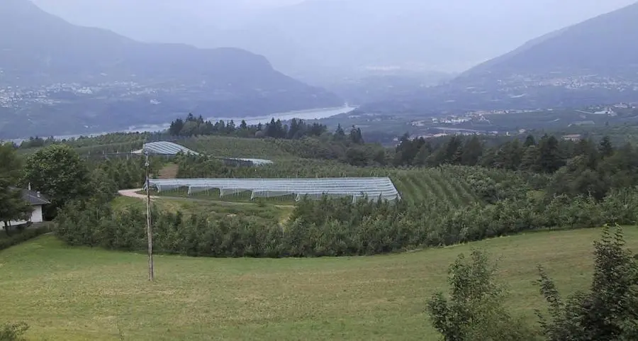 «Regole più flessibili per i posti in agriturismo»