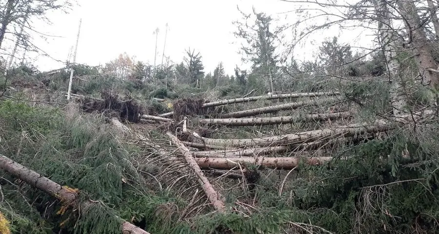 Danni della tempesta Vaia fido di 1 milione in banca