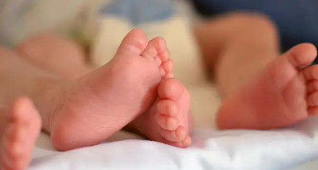 Famiglia, in Trentino il 22% dei nuovi nati nel 2018 non ha la cittadinanza italiana