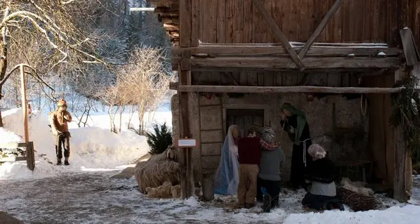Segui la stella fino alla Natività a grandezza naturale