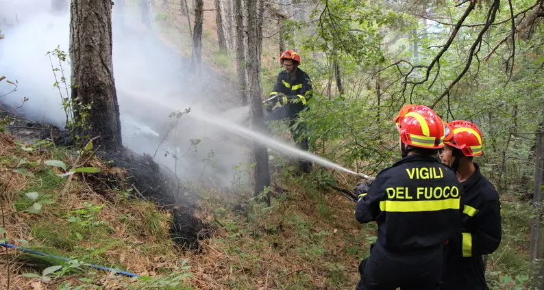 Vigili del fuoco Valle dei Laghi in quasi un anno 800 interventi
