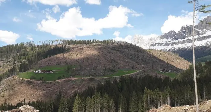Vaia, 246.000 euro dalla campagna 'Calamità Trentino 2018'