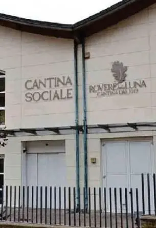 Roveré, ancora polemiche fra i soci sulla Cantina Sociale