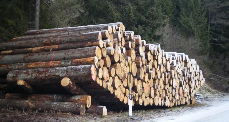 Iniziate le sessioni forestali ieri la prima di 23 tappe