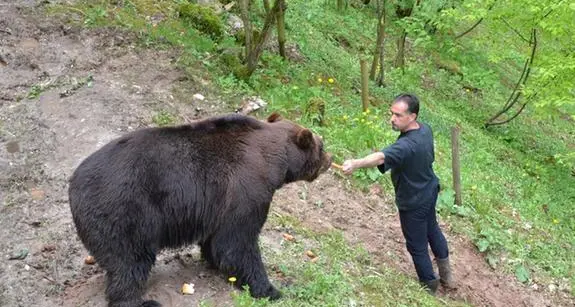 È ancora Fausto Iob il custode dell’orso bruno di S. Romedio