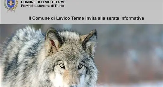 A Lochere di Caldonazzo corsi di guida sicura su neve