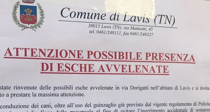 Ancora bocconi avvelenati
