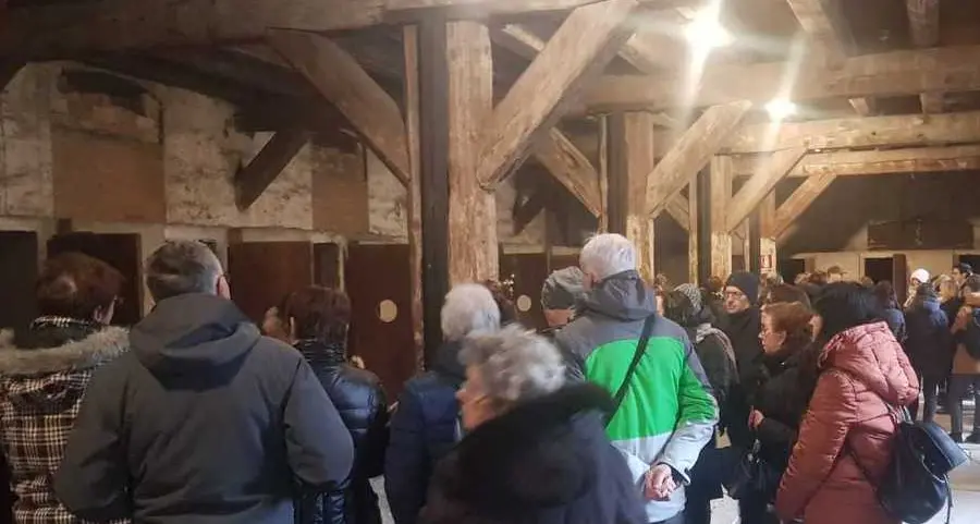 Bruciare legna senza farsi male